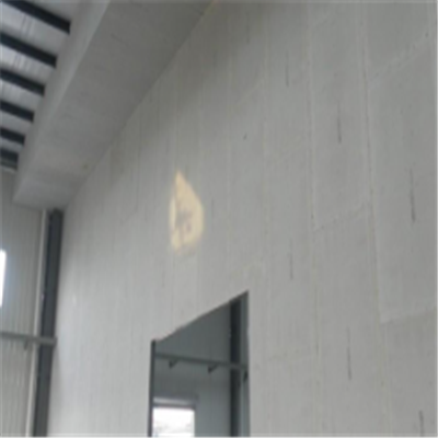 天长宁波ALC板|EPS加气板隔墙与混凝土整浇联接的实验研讨